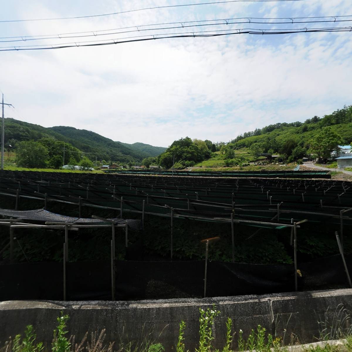 길선리1구마을회