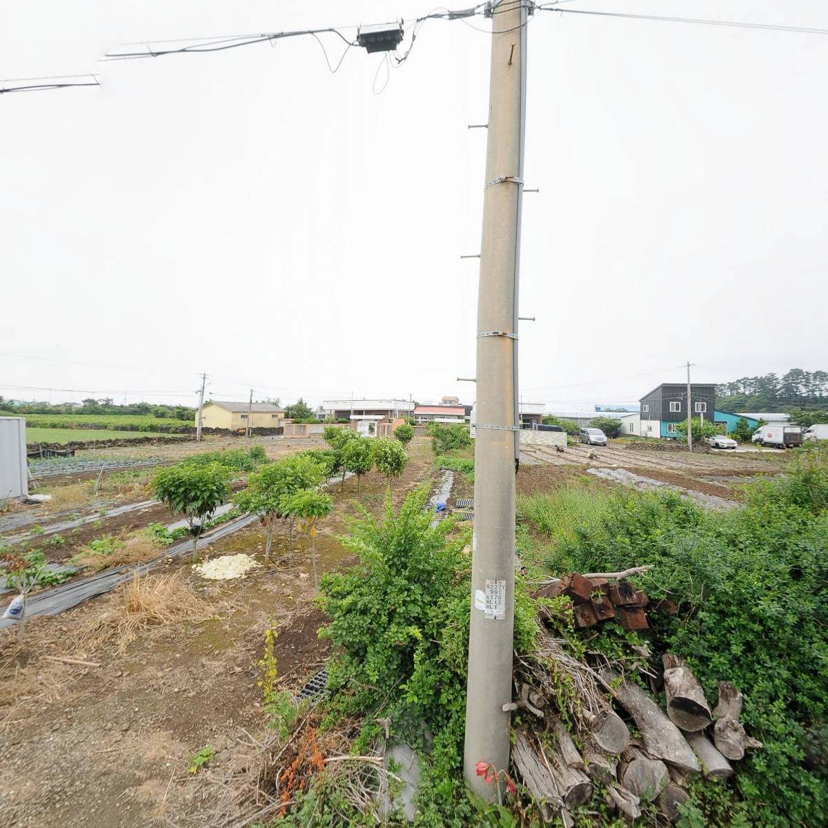 롯데제과（주） 동부대리점_3