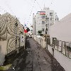 엠디(MD)19_2
