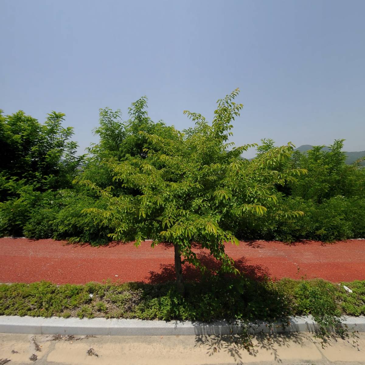 (주)에이스스틸
