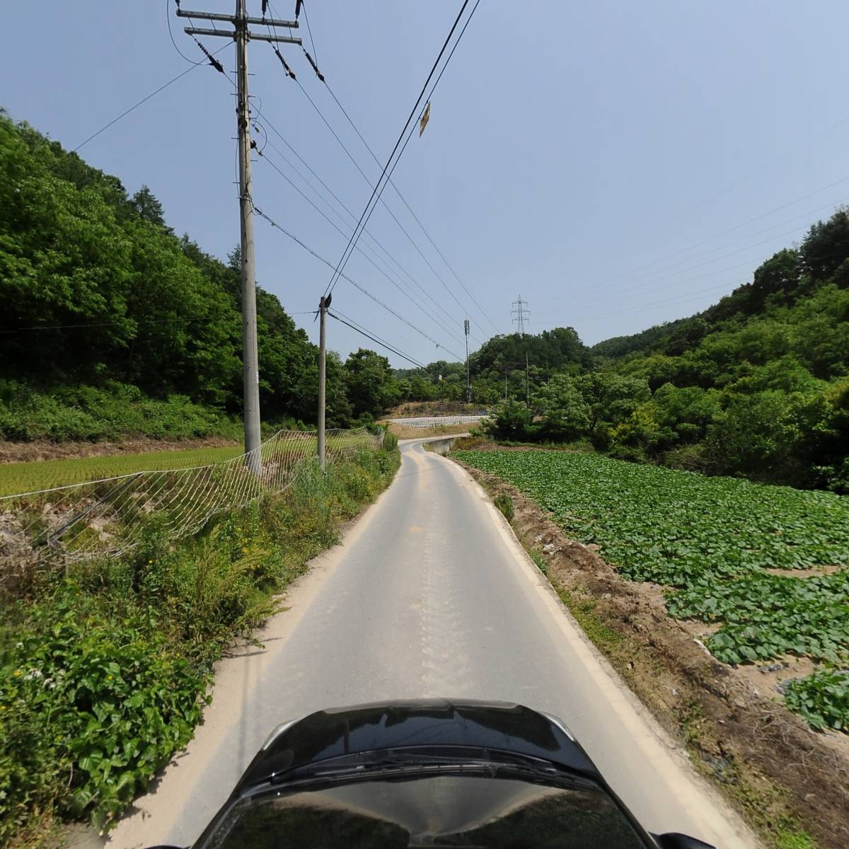 새분이농원_4