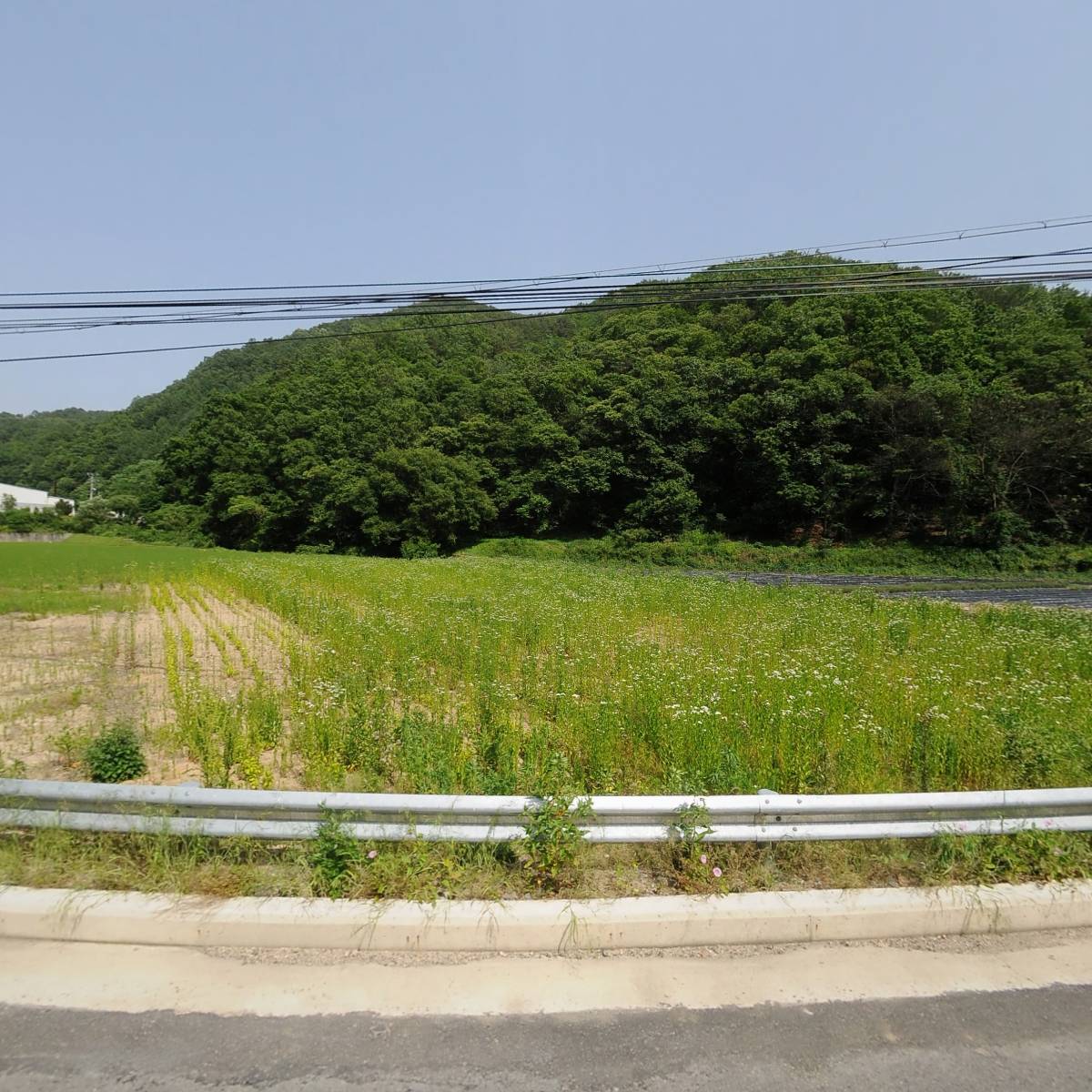 금천세리사이트