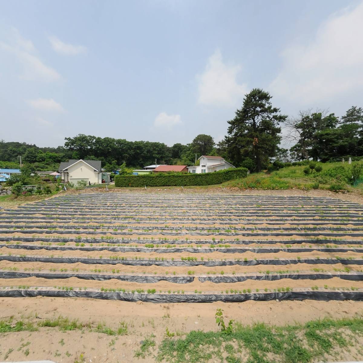 신성국제교역（주）괴산지점