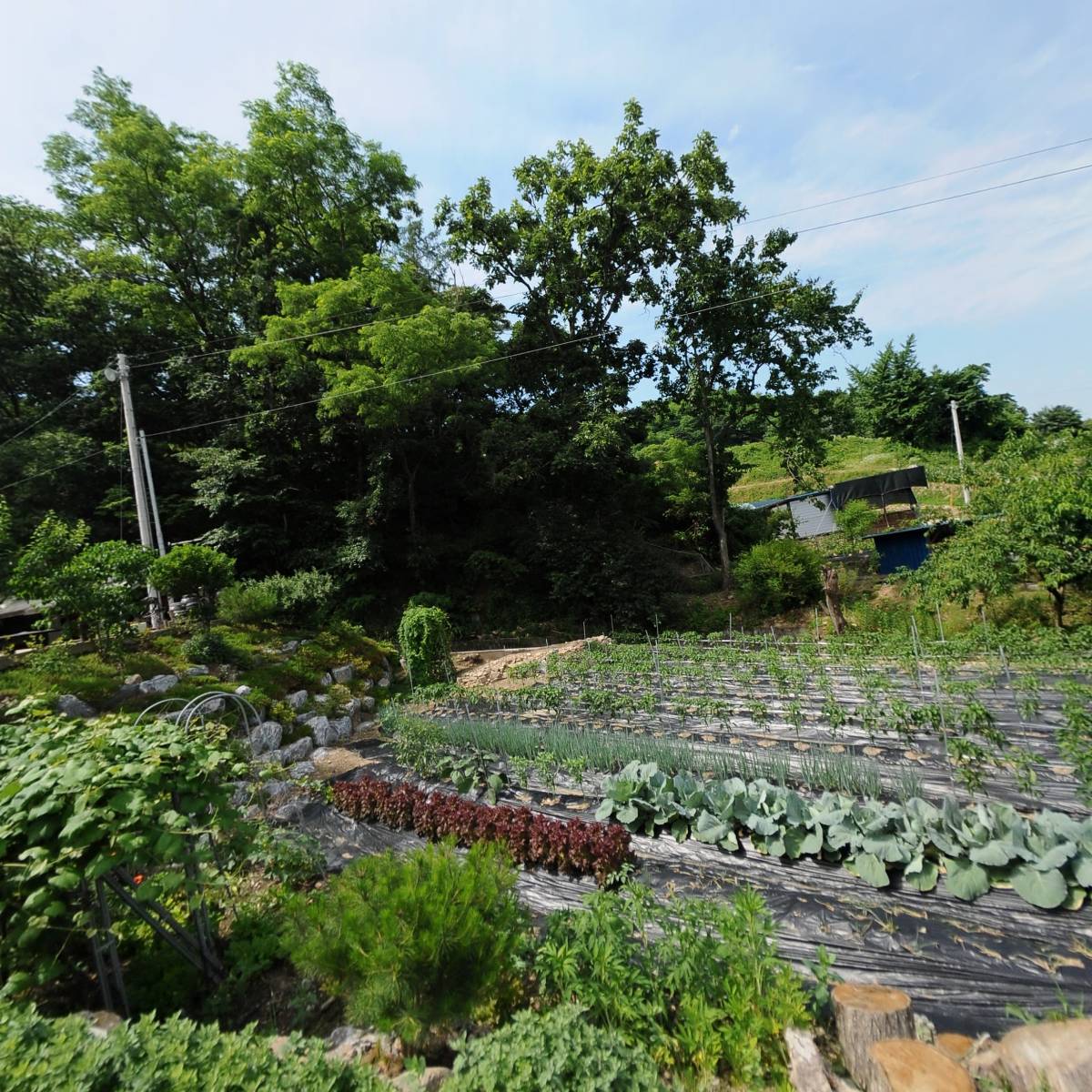 대한불교원광종 보흥사