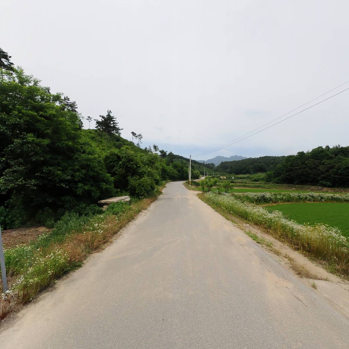 충북85자2076_2