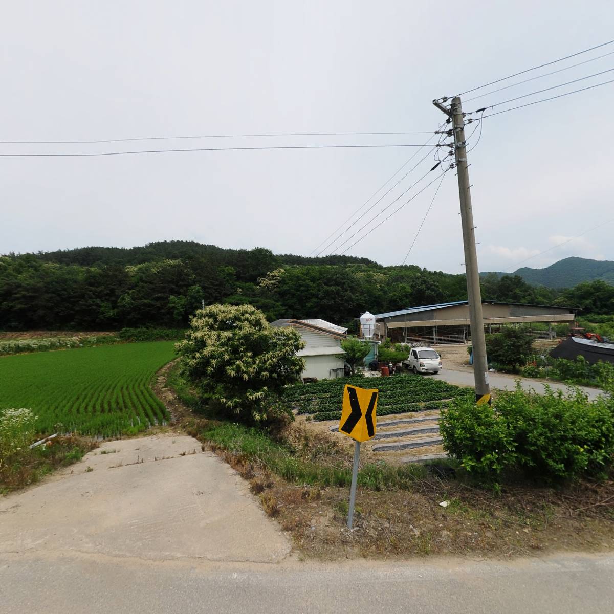 충북85자2076_3