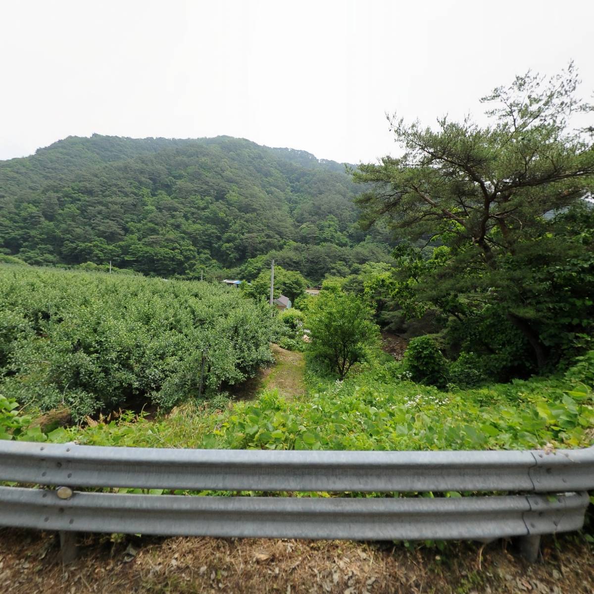 기독교대한감리회명암교회