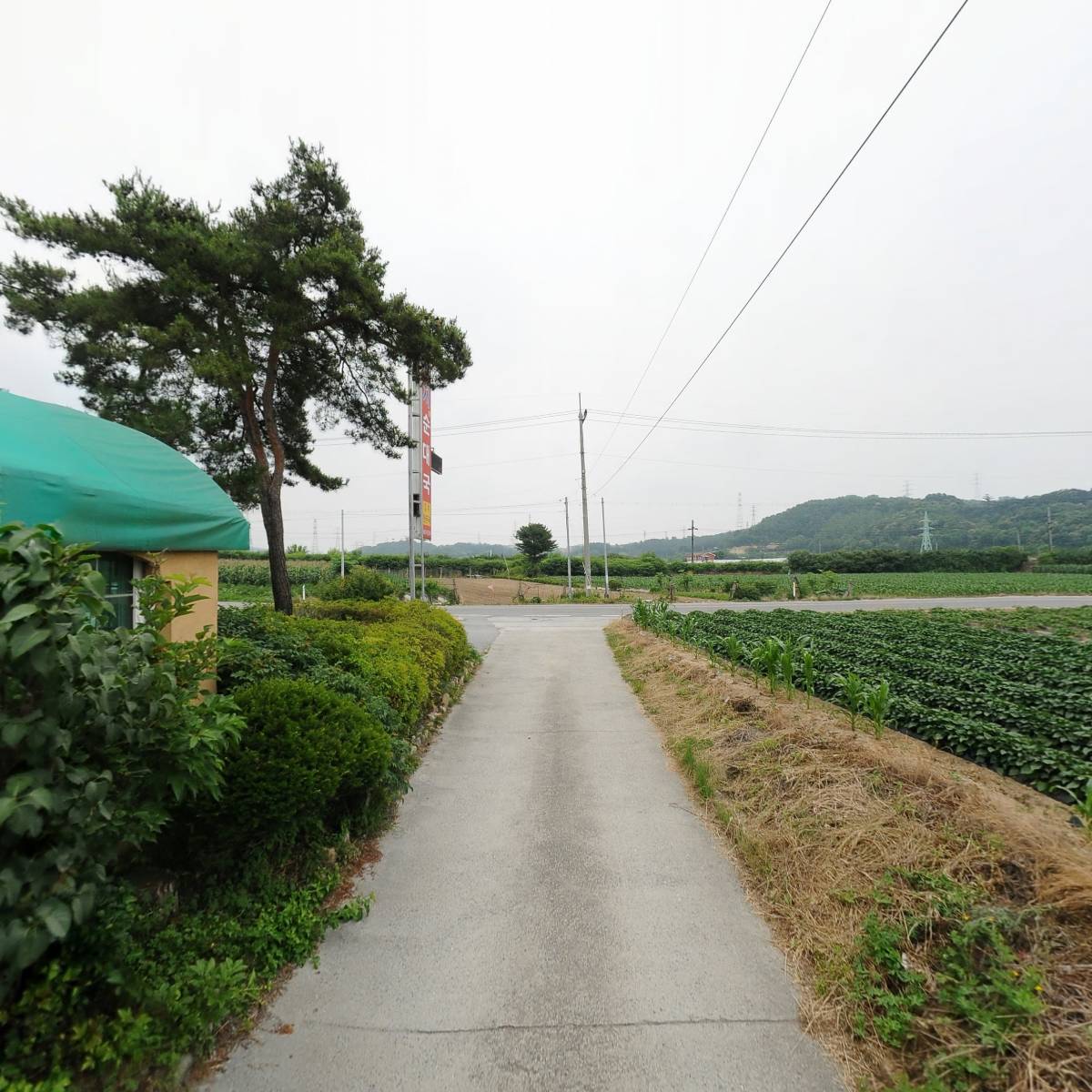 웅지순대국전문_2