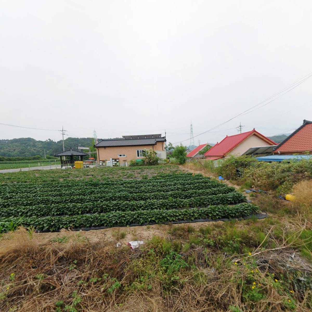 웅지순대국전문_3