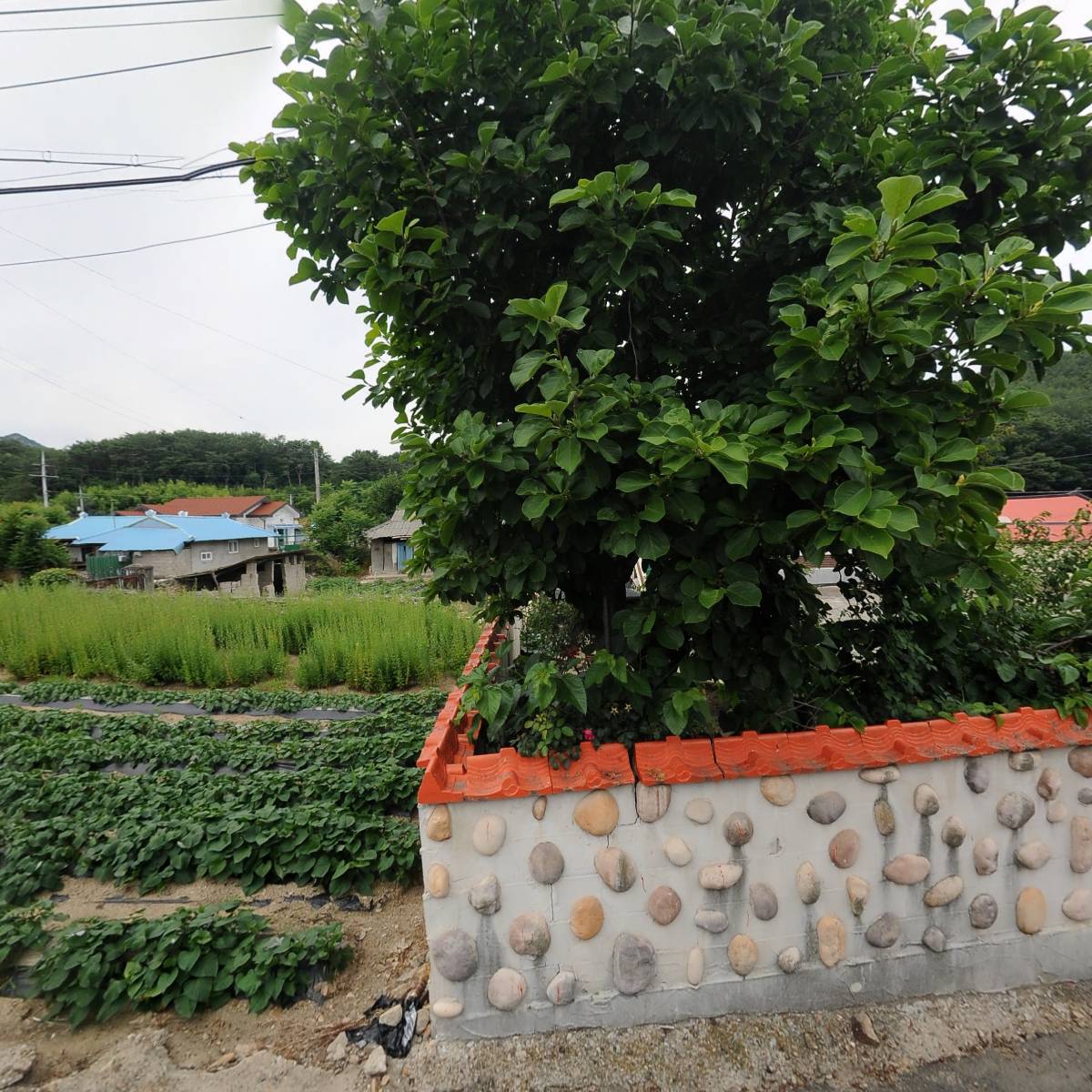 지내보건진료소_3