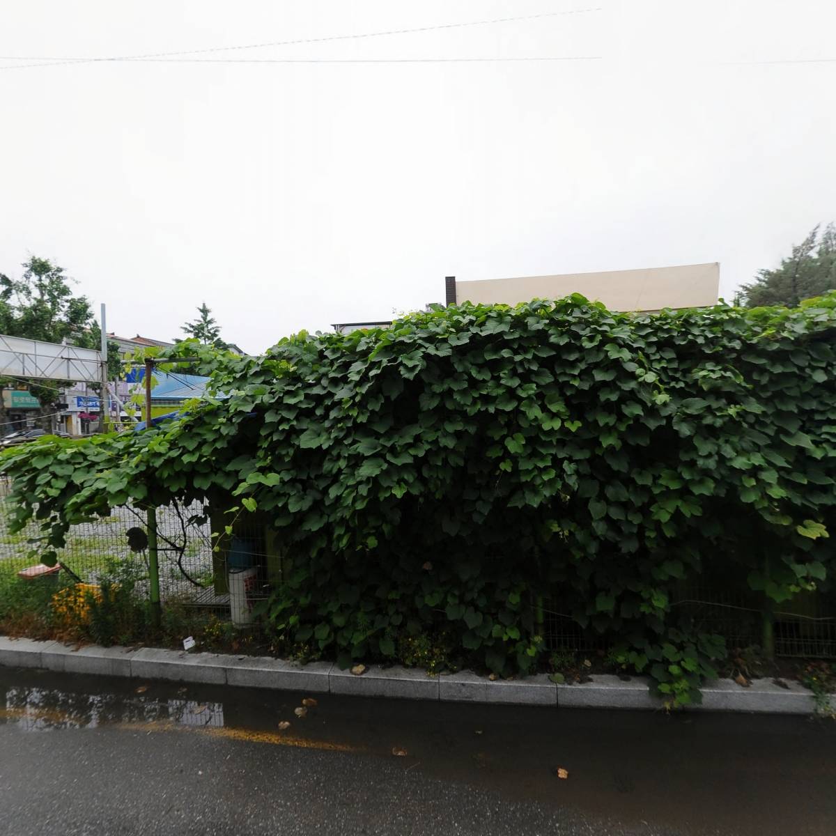 경창종합식품기계_3