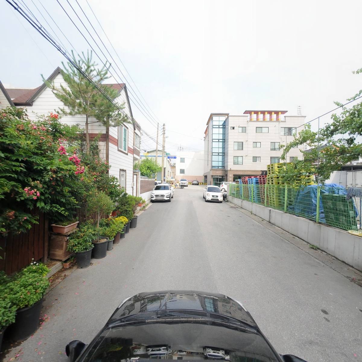 청풍명월정격시조문학회_4