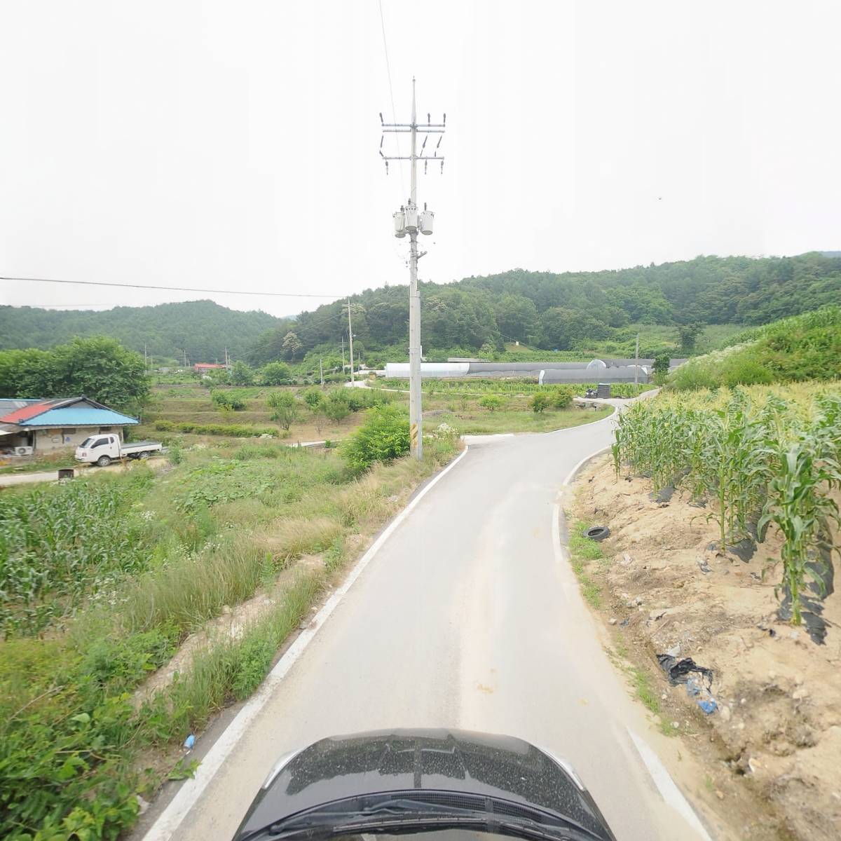 용두산절임배추영농조합법인_4