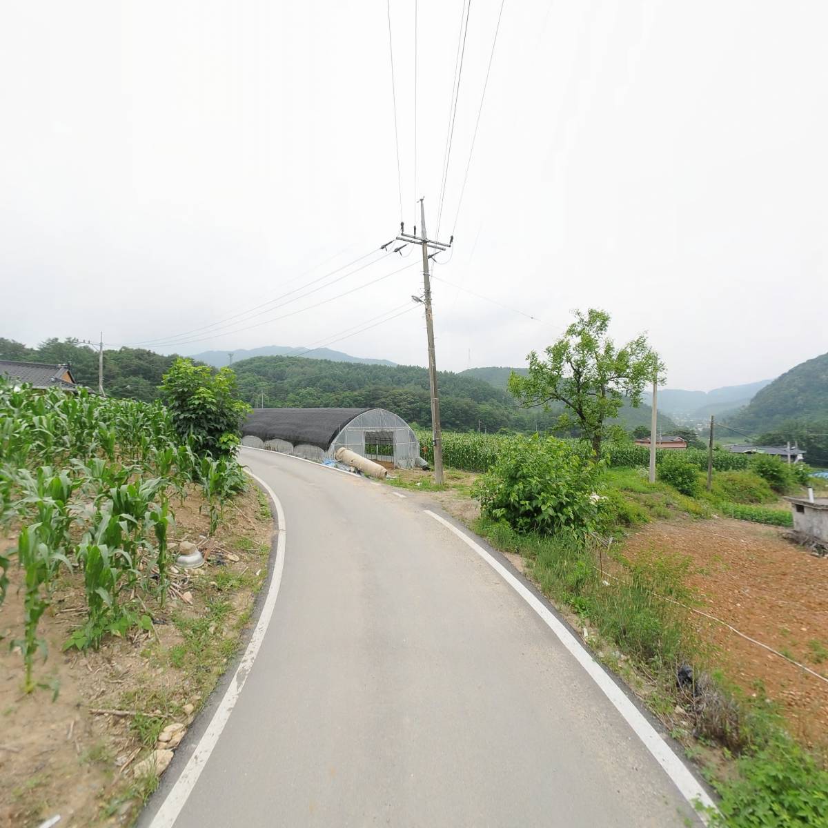 용두산절임배추영농조합법인_2