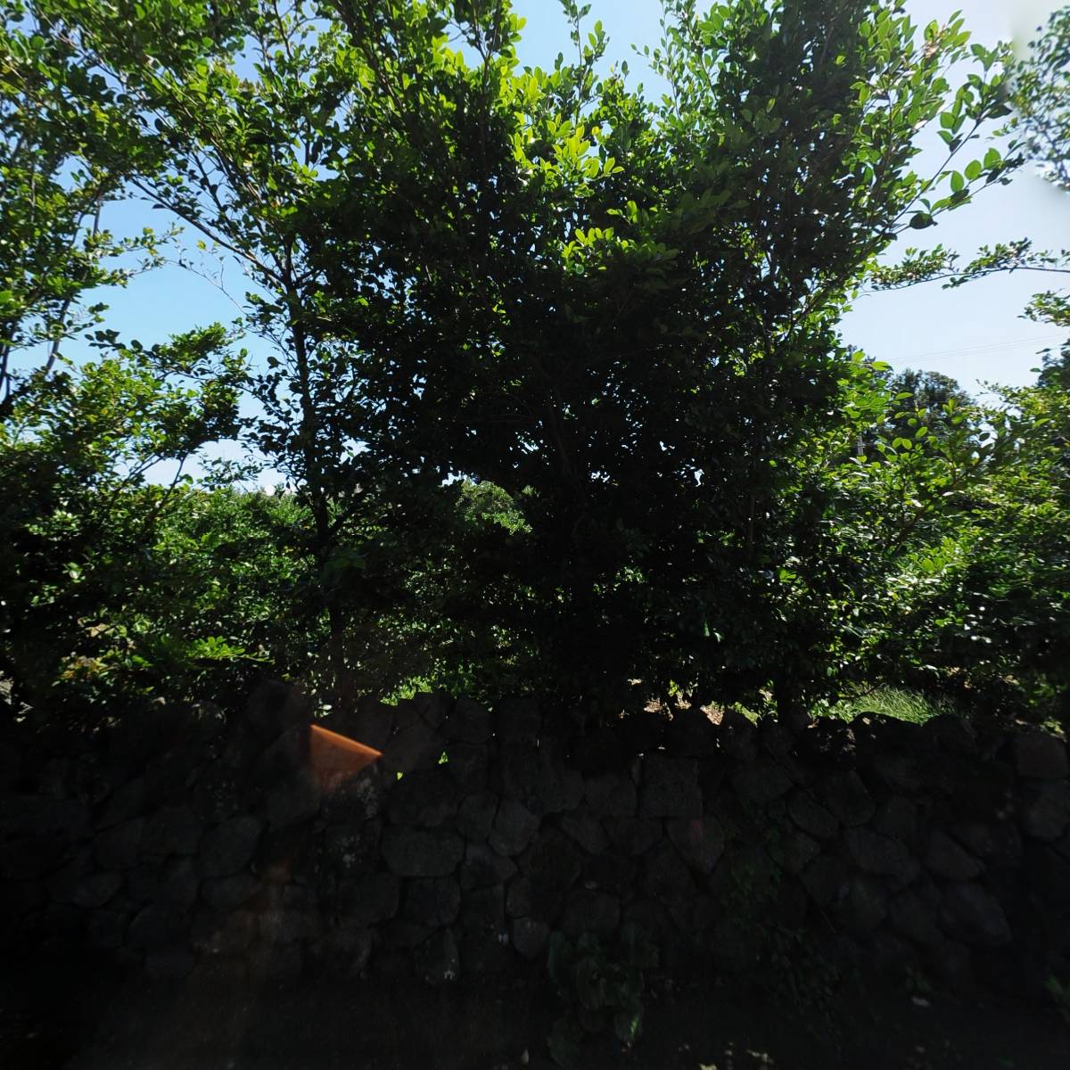 플러스월드(주)