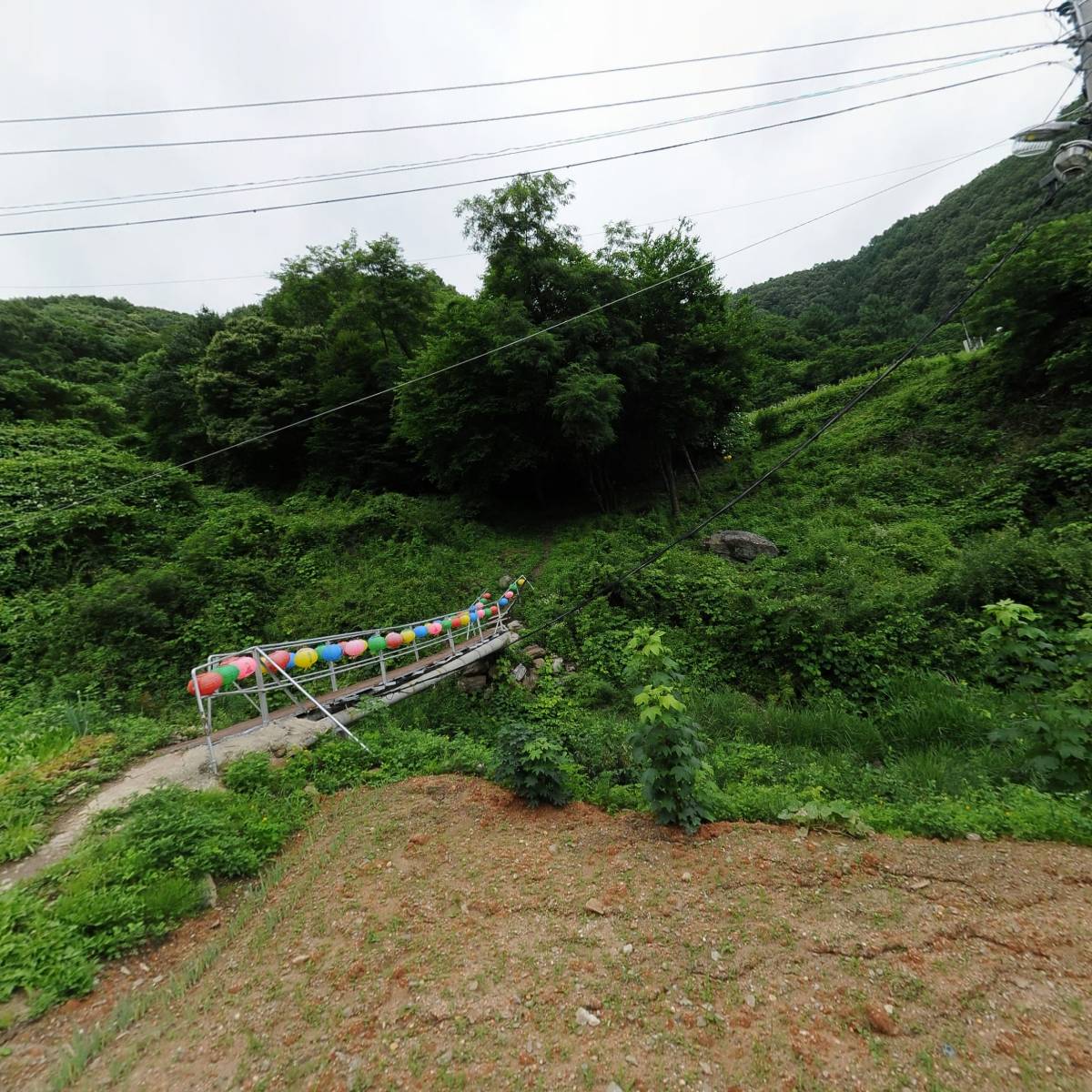 대한불교기원정사 경북교구