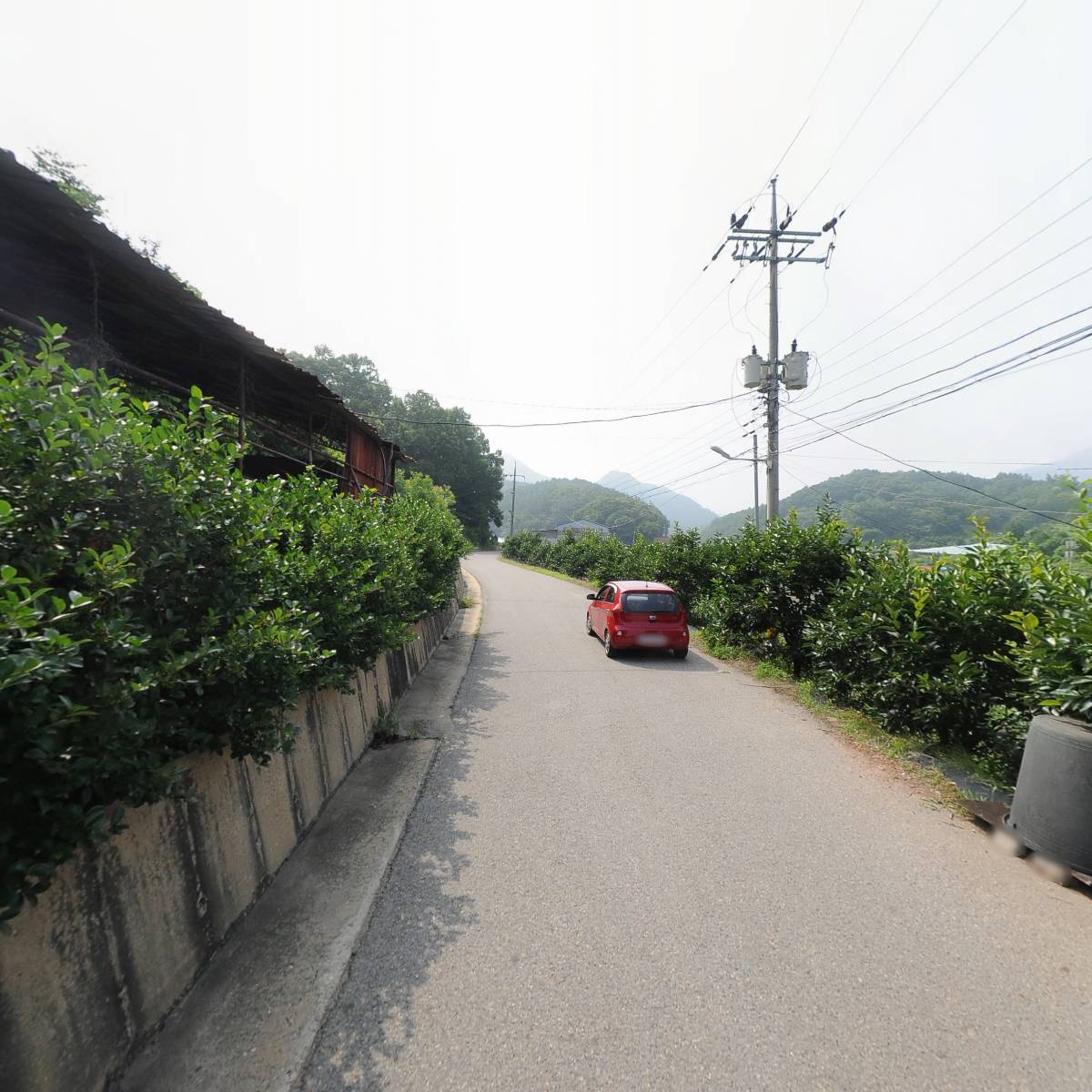 영동우리농산물_2