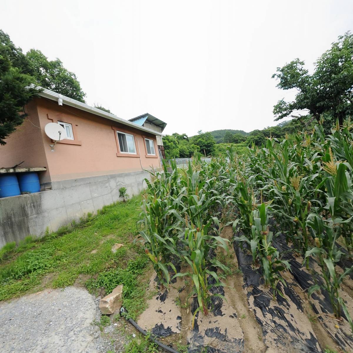 제천스카이 카고크레인