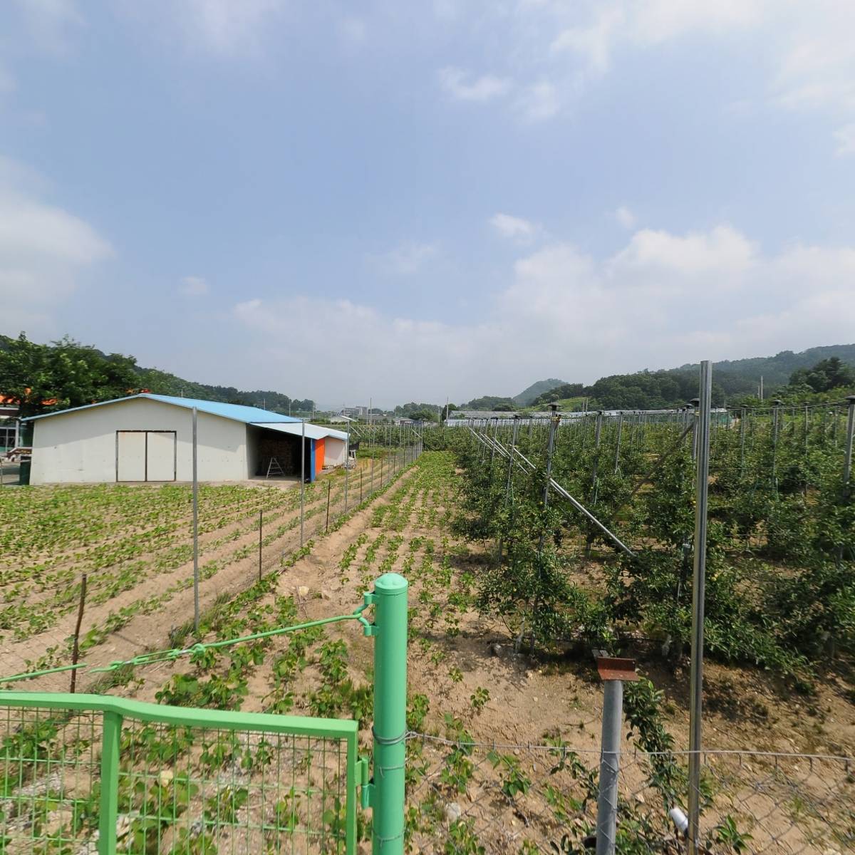 춘풍태양광발전소_3