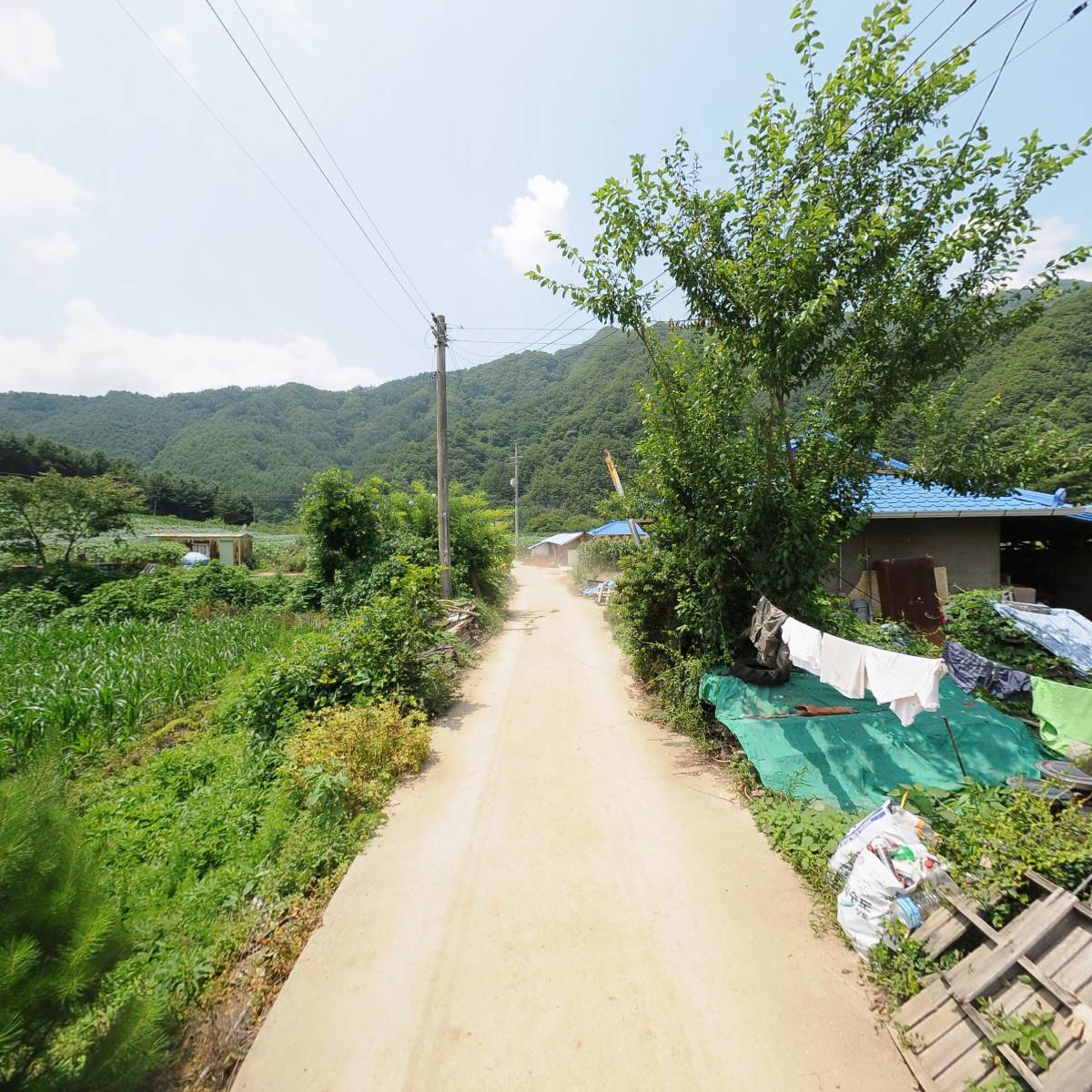 강원도 산골 안전한 먹거리_2