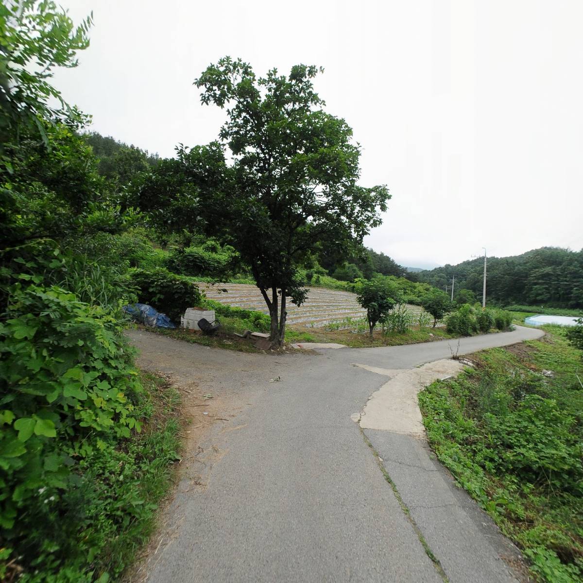 피뜰농원_2