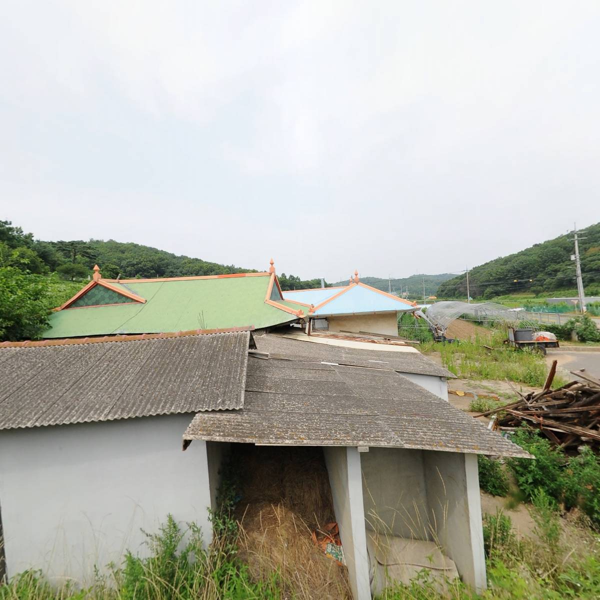 주식회사 베누스메드