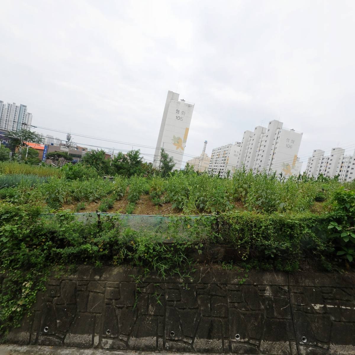 샤브마니아 경산월드컵대로점_3