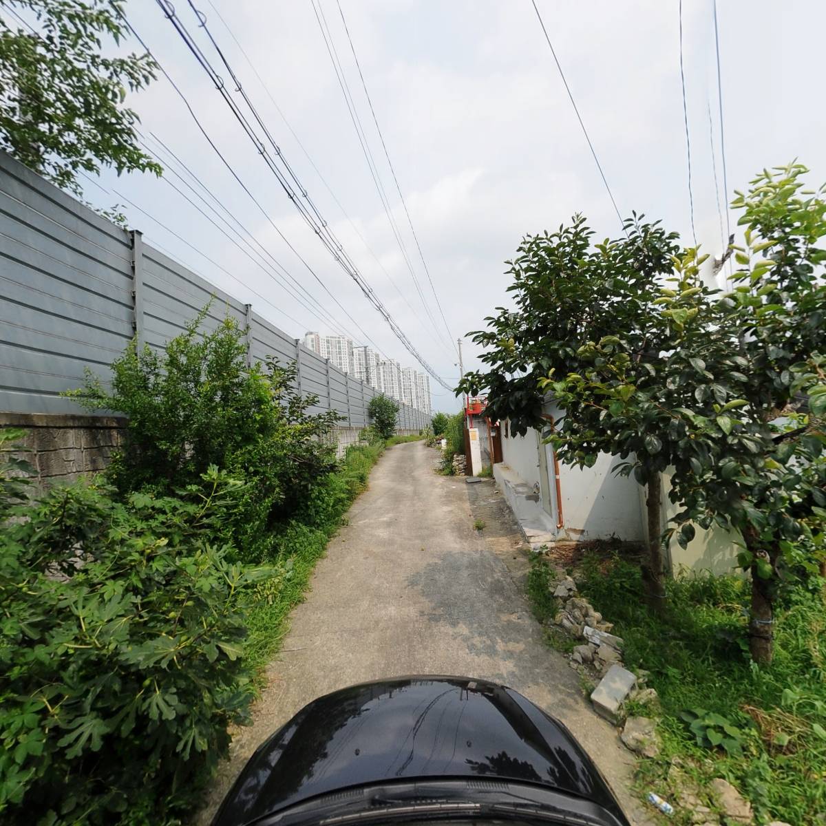 (유한)대영주류_4