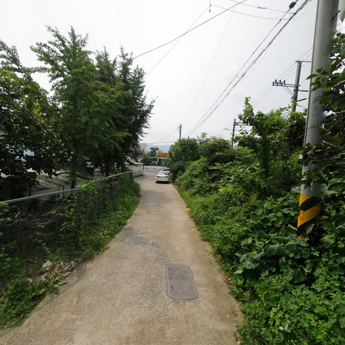 (유한)대영주류_2