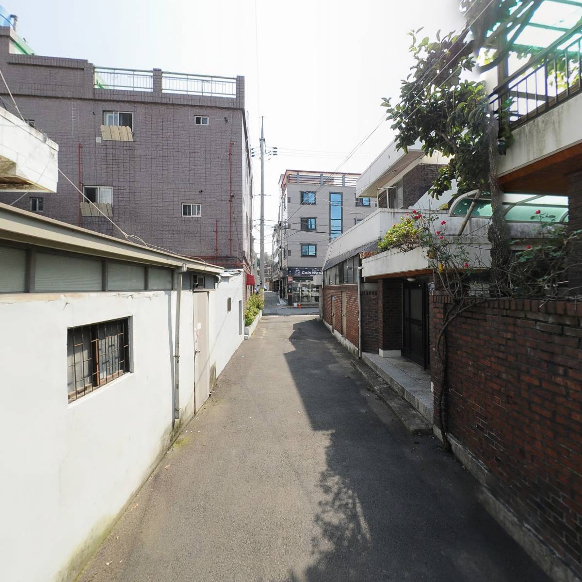 플레르단_2