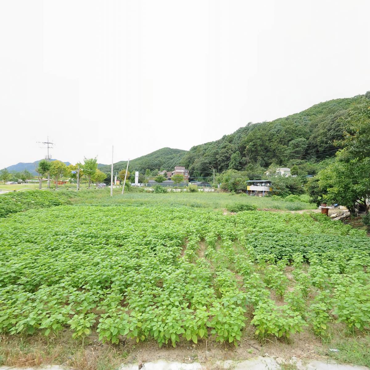 행복이 가득한 교회_3