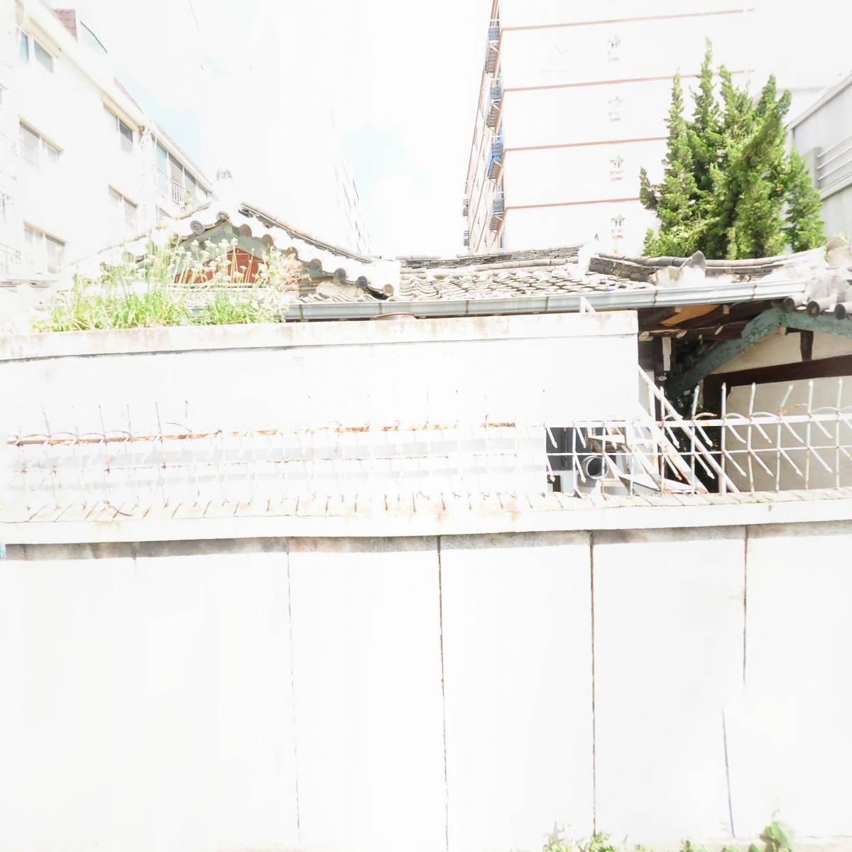 구공회