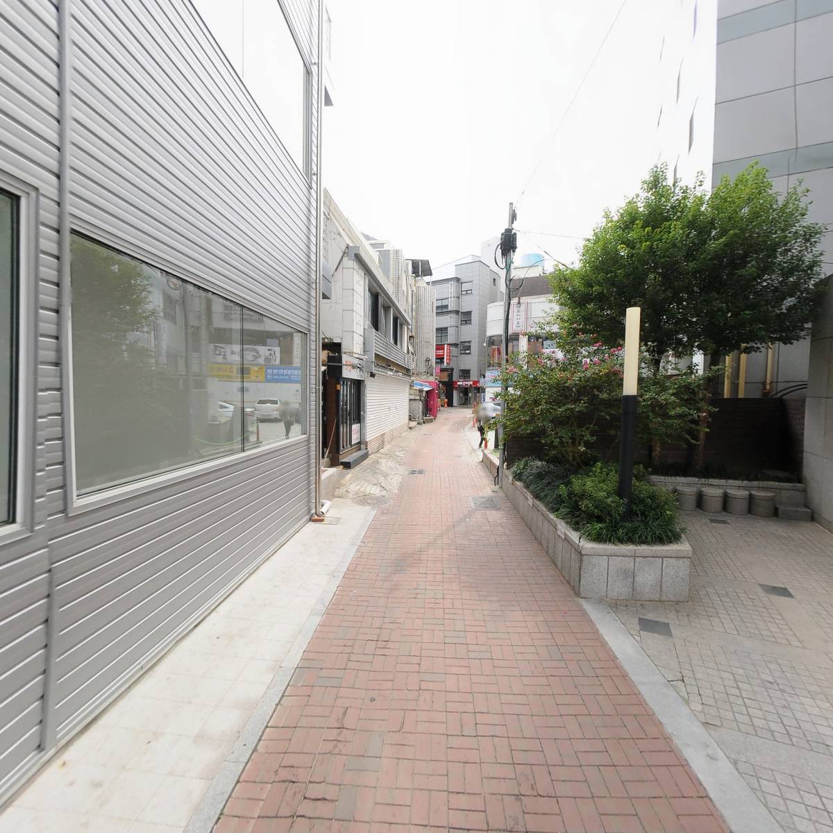 젤리보이_2