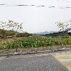 엠제이(MJ)푸드_3