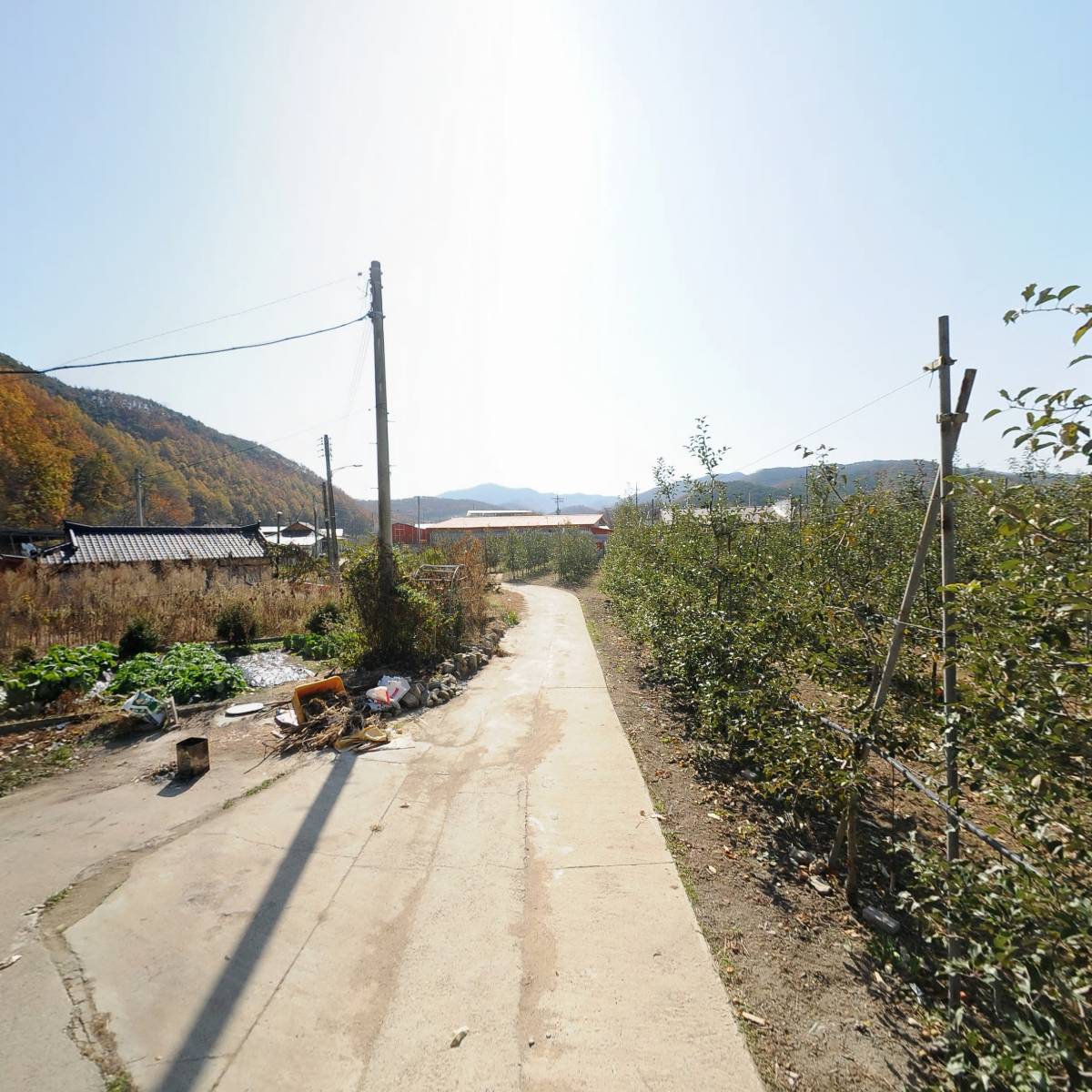 (사)한봉협회 의성군지부_2