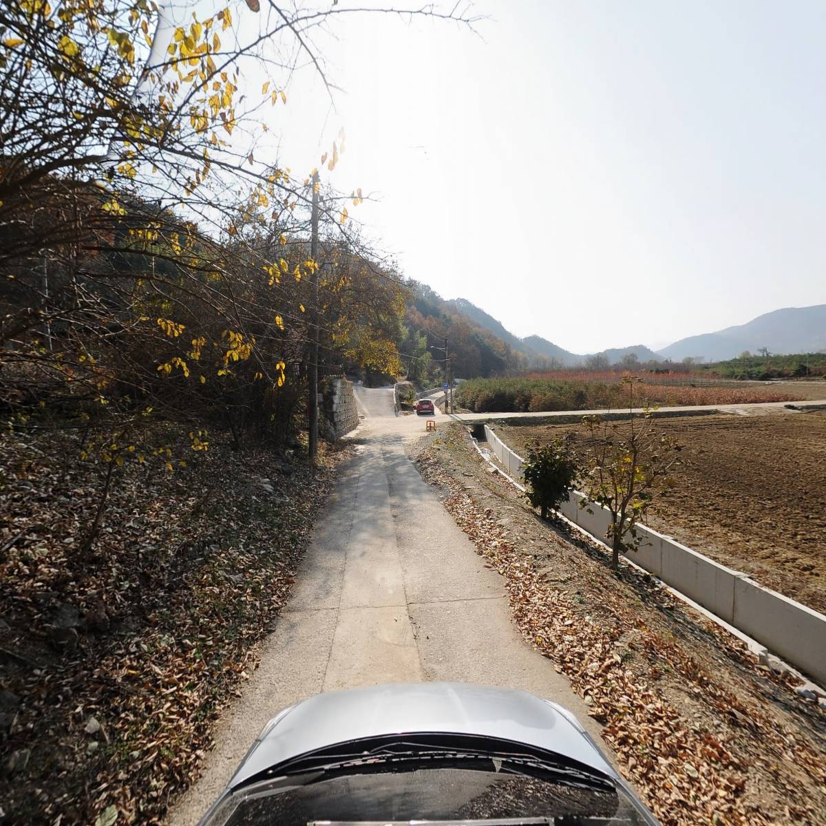 대천농원_4