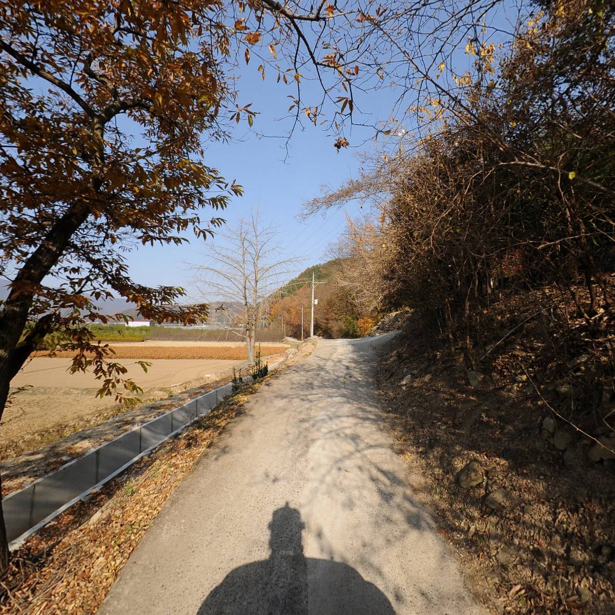 대천농원_2