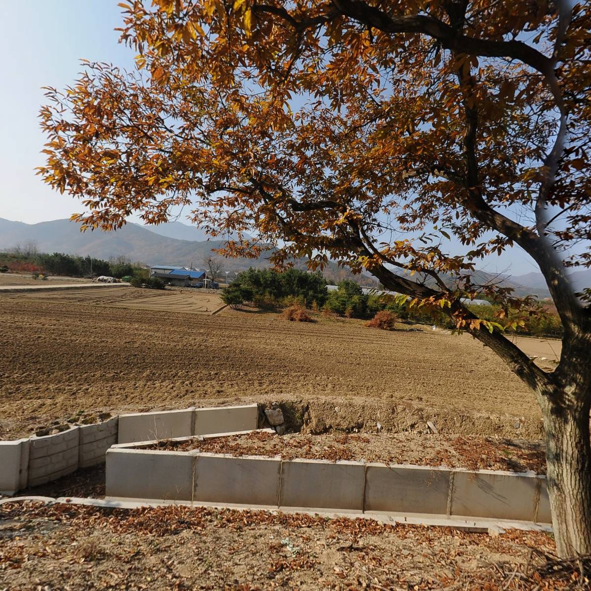 대천농원