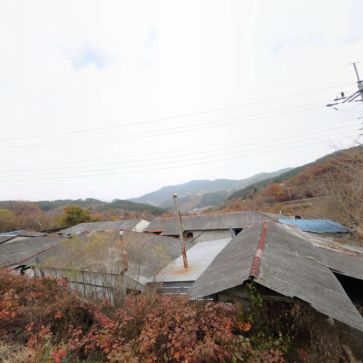 소룡산버섯연구소