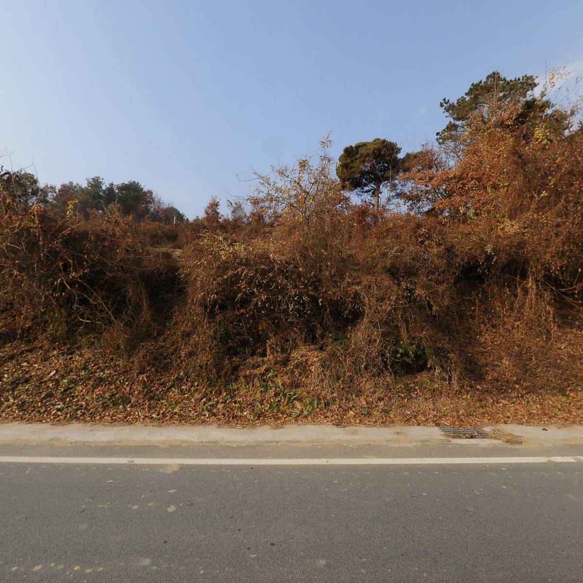 셀링파크_3