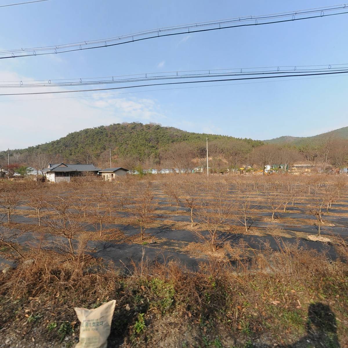 주식회사 키즈마루