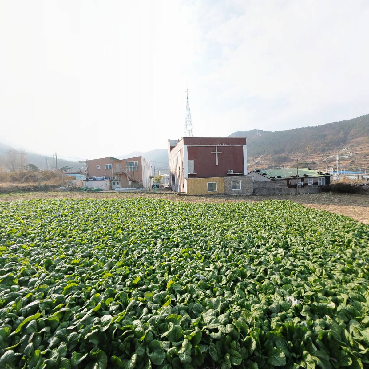 돌산중앙지역아동센터