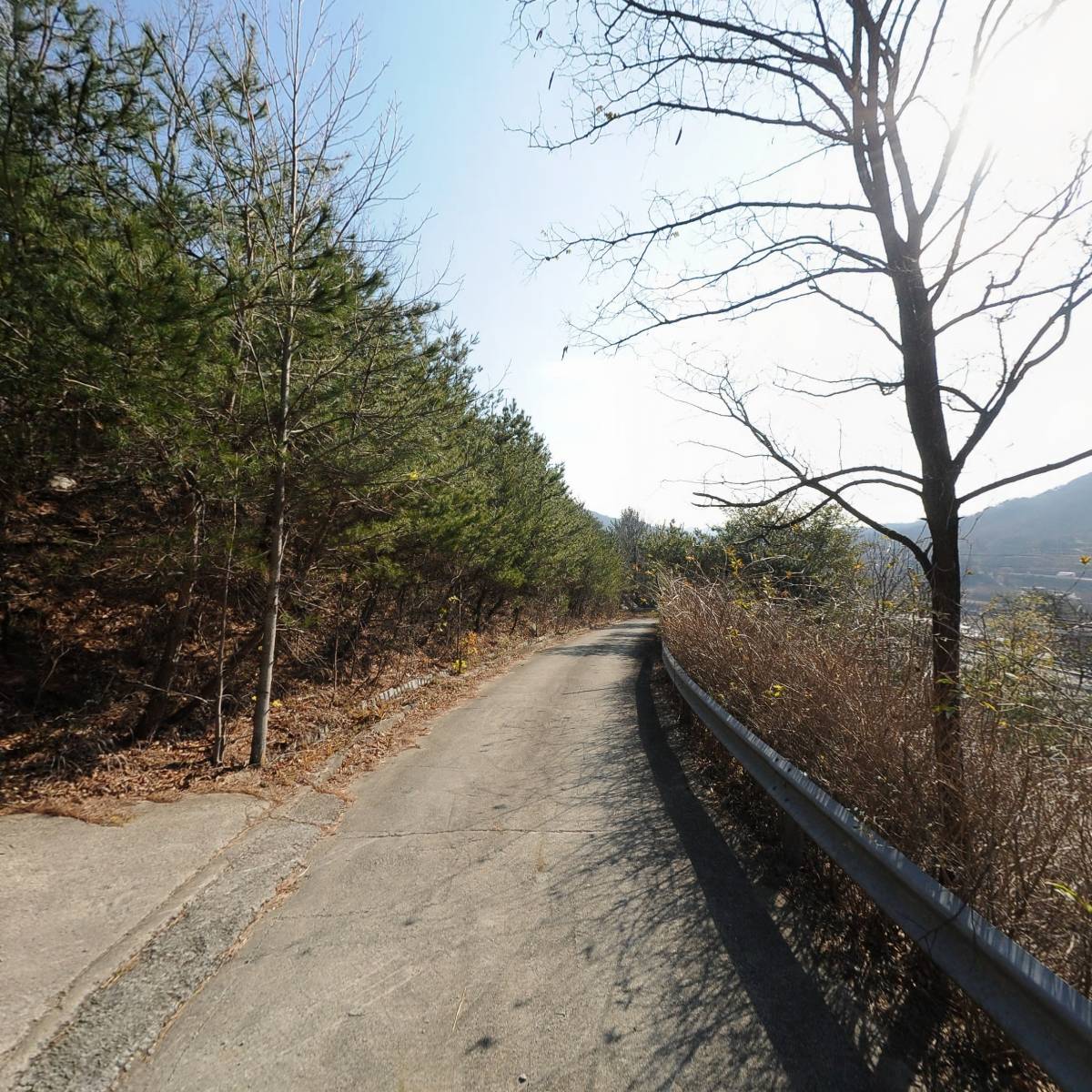 대한불교정토선원신안암_2