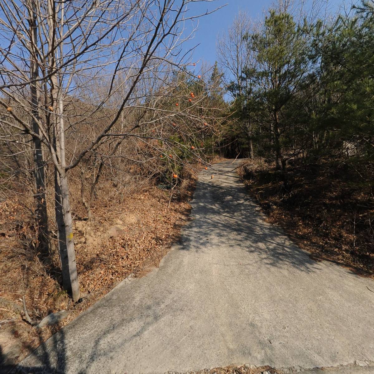 대한불교정토선원신안암