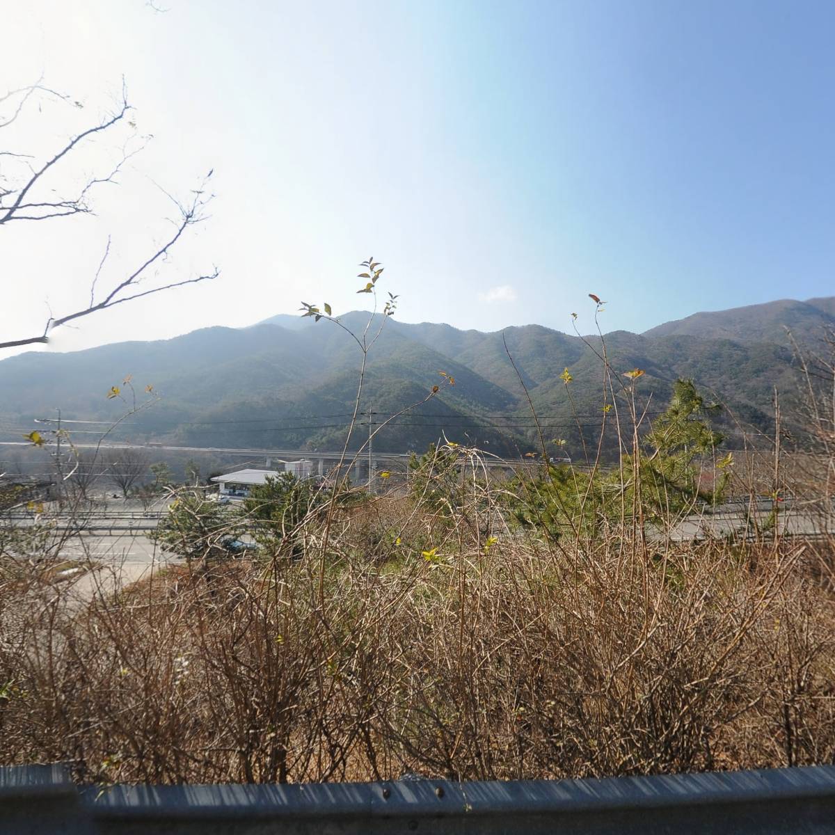 대한불교정토선원신안암_3