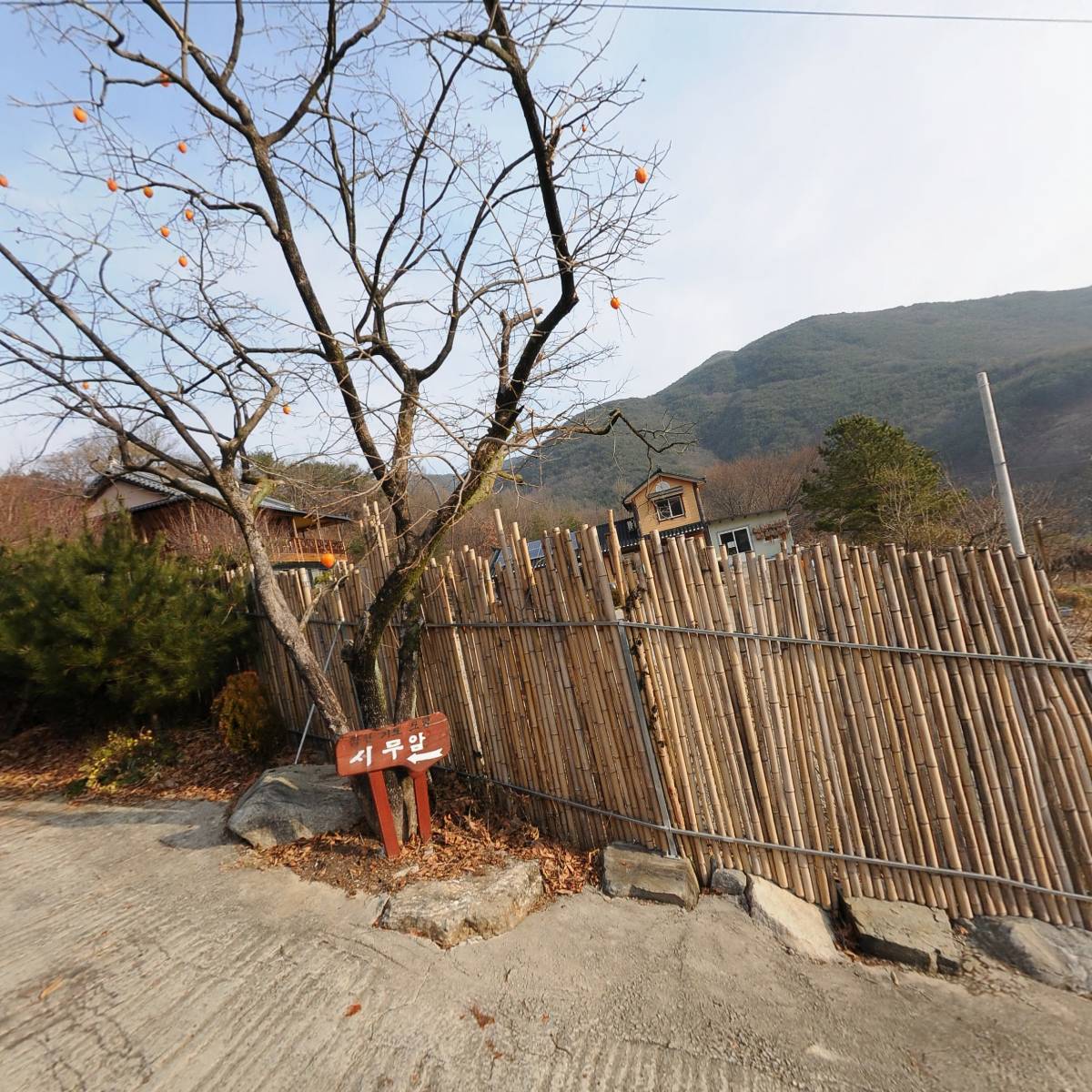 대한불교일붕선교종백운사