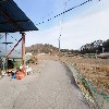 안집곰탕_2