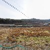 안집곰탕_3