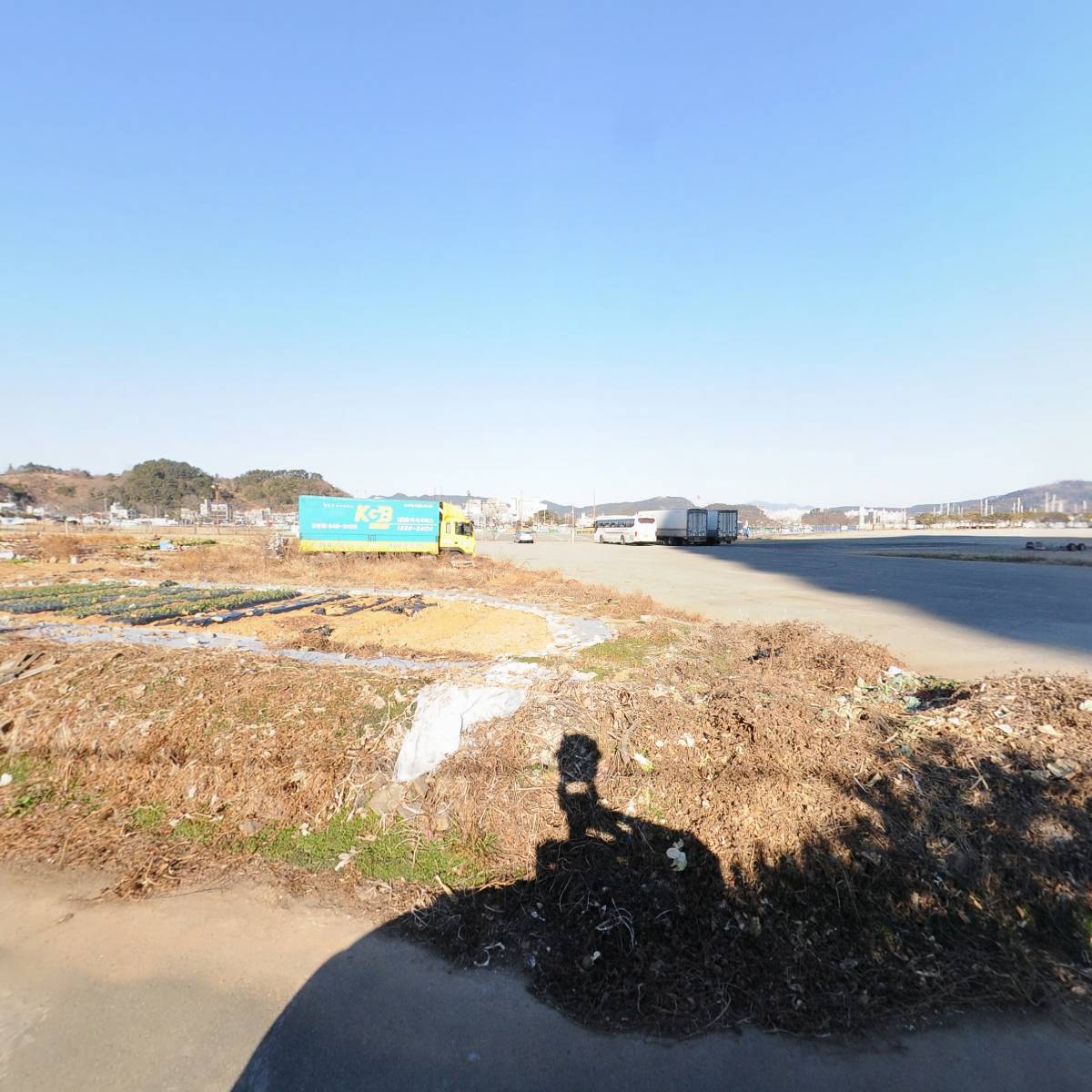 도남과일_3