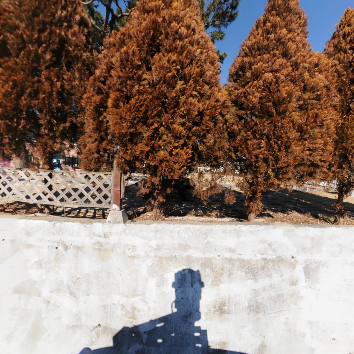 2필승（통영양식제221호）